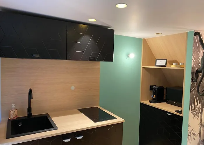 La Terrasse Sainte Catherine 公寓